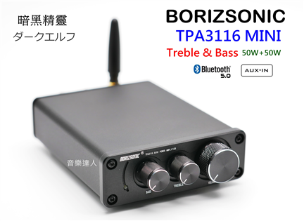 暗黑精靈~BORIZSONIC TPA3116 mini
