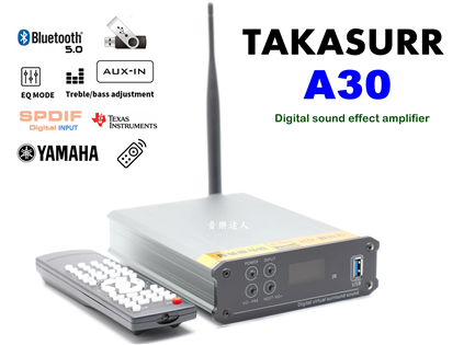 絕對與眾不同 TAKASURR A30 YAMAHA D
